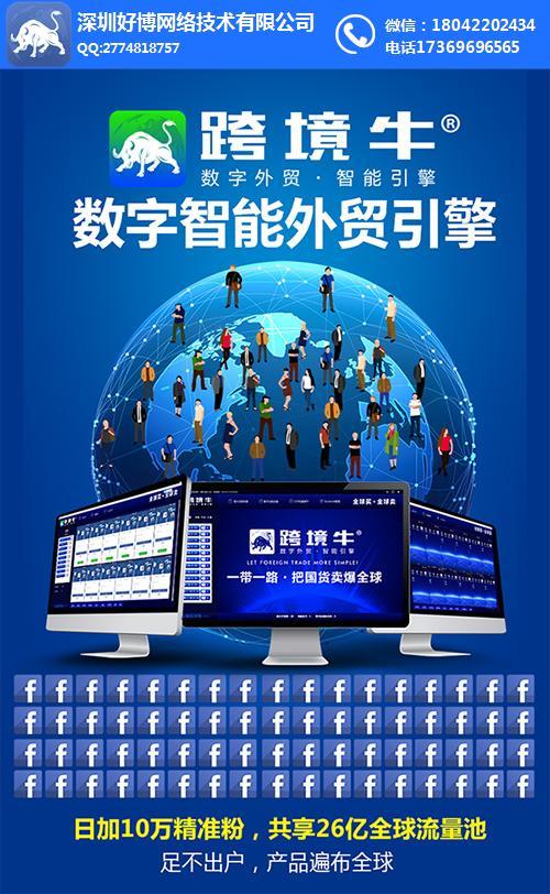 脸书广告推广-脸书-芯片系统-深圳网站建设/推广-查发分类