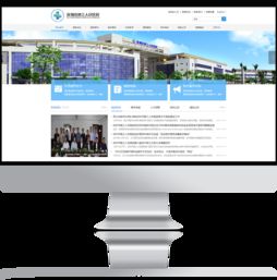 深圳市第三人民医院官方网站设计制作 成功案例 沙漠风网站建设公司