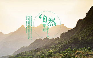 企业官网 南隼互动丨clh 深圳网站设计及建设公司 为企业提供数字化品牌和产品营销解决方案