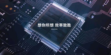 与深圳市光瓷科技签订网站建设合同