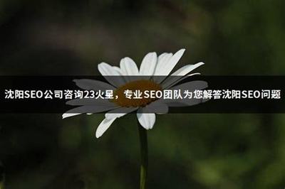 昭通seo公司咨询7火星详解:正规seo公司|2024年06月更新