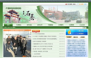 深圳骏域网络 专业网站建设与优化的全方位解决方案